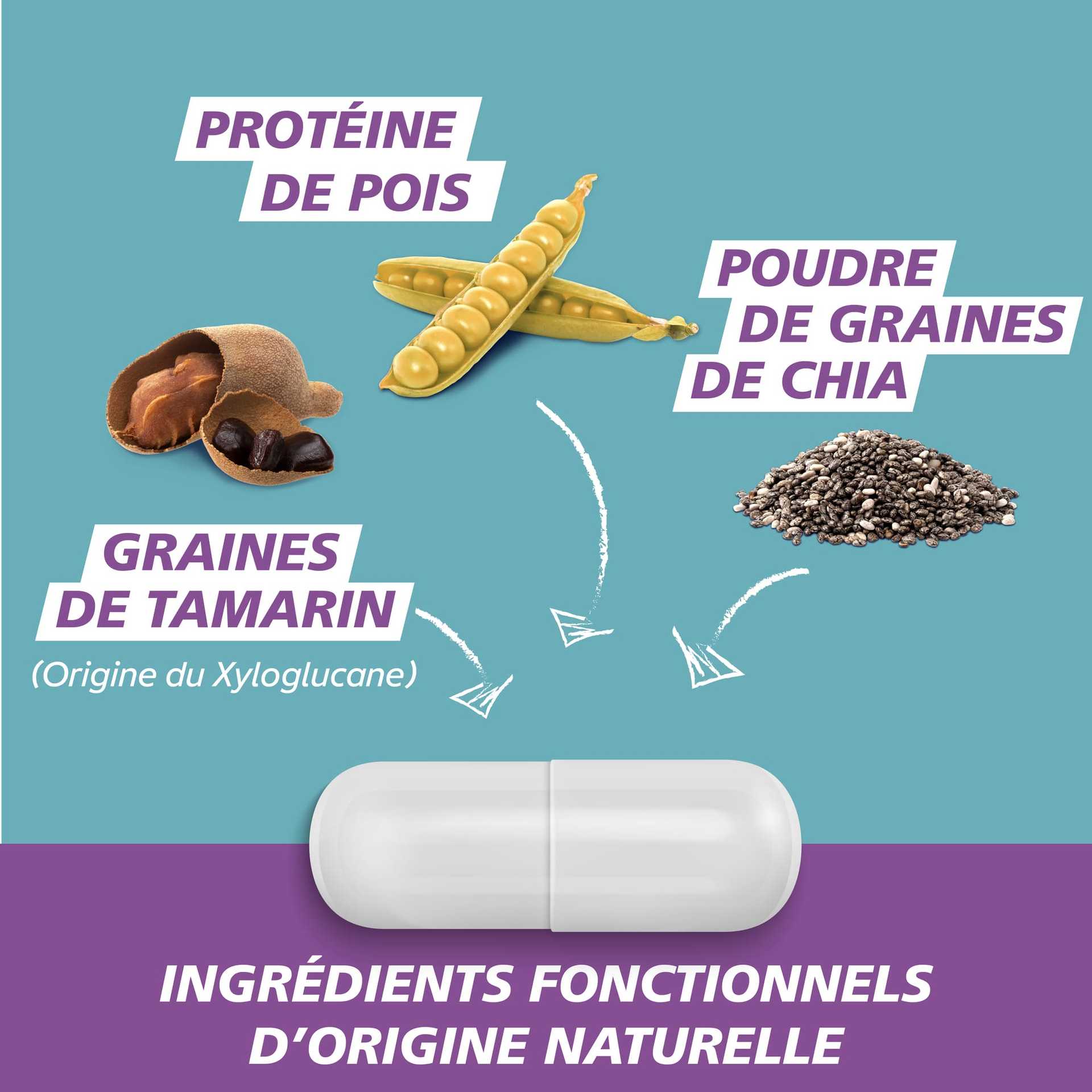 Graines de tamarin (origine du xyloglucane), protéine de pois, poudre de graines de chia​. Ingrédients fonctionnels d’origine naturelle​