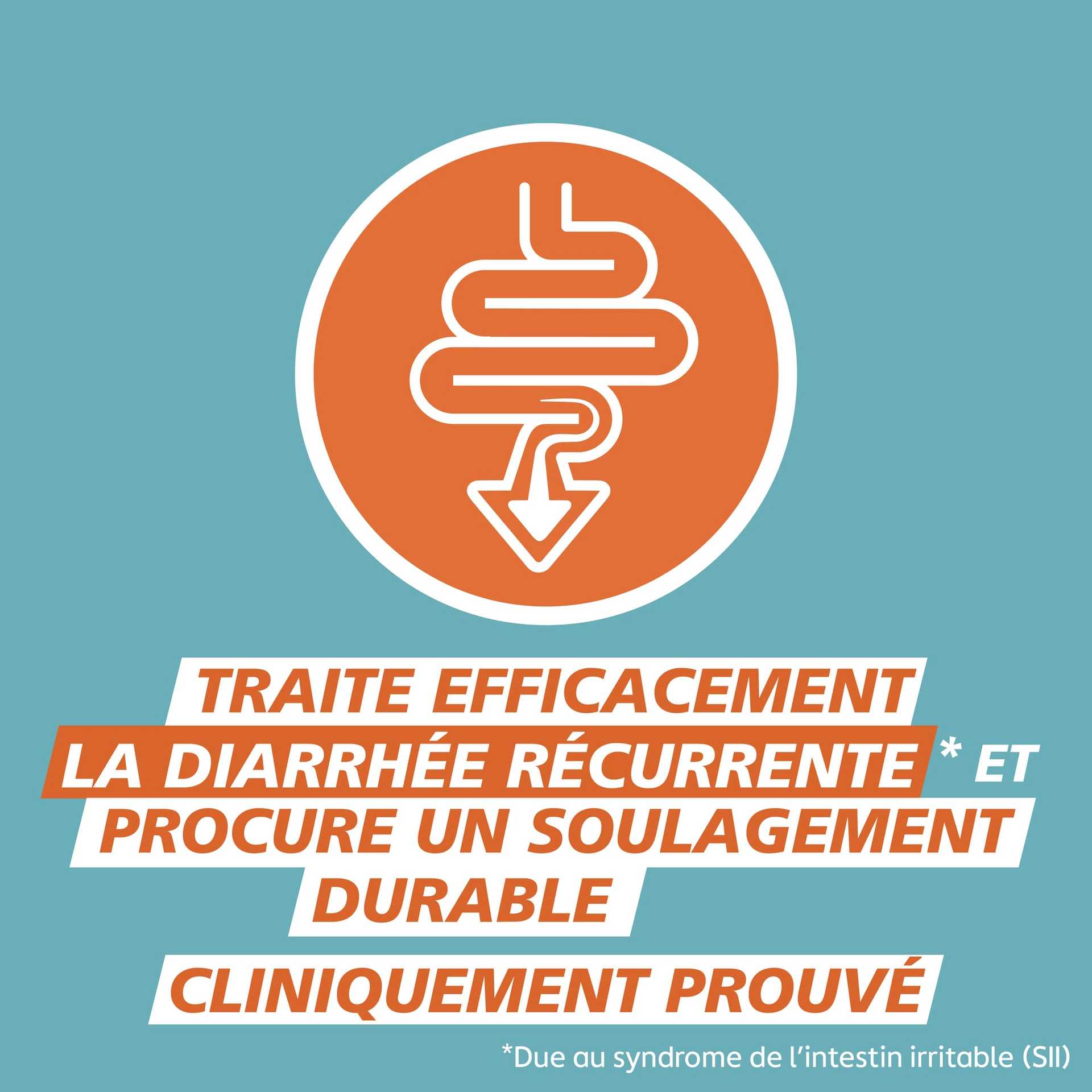 Traite efficacement la diarrhée récurrente* et procure un soulagement durable. Cliniquement prouvé​. *Due au syndrome de l’intestin irritable (SII)​